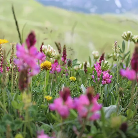 Miravidi A Cervinia Hotel Breuil-Cervinia